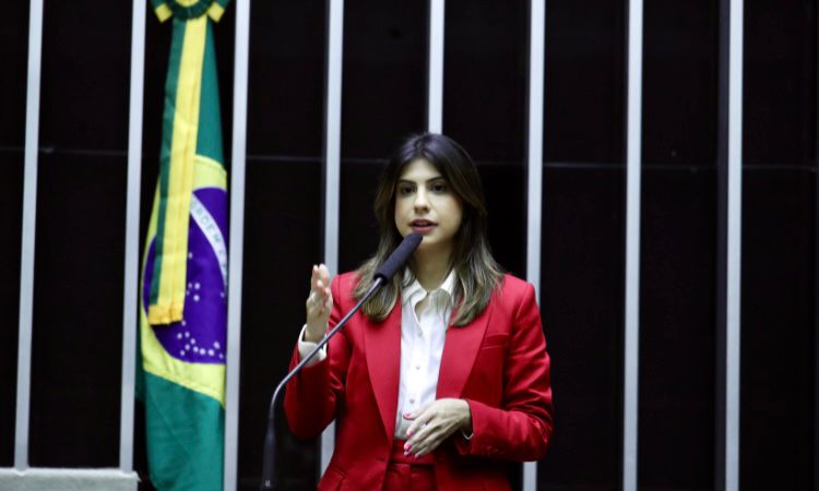 Órfãos do feminicídio: projeto que já é lei municipal em Campo Grande é apresentado na Câmara dos Deputados