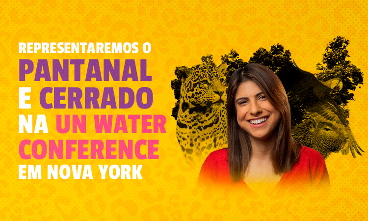 Representando Pantanal e Cerrado, Camila Jara participa da Conferência da Água em Nova York