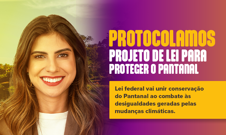 Camila Jara protocola projeto de lei de proteção do Pantanal